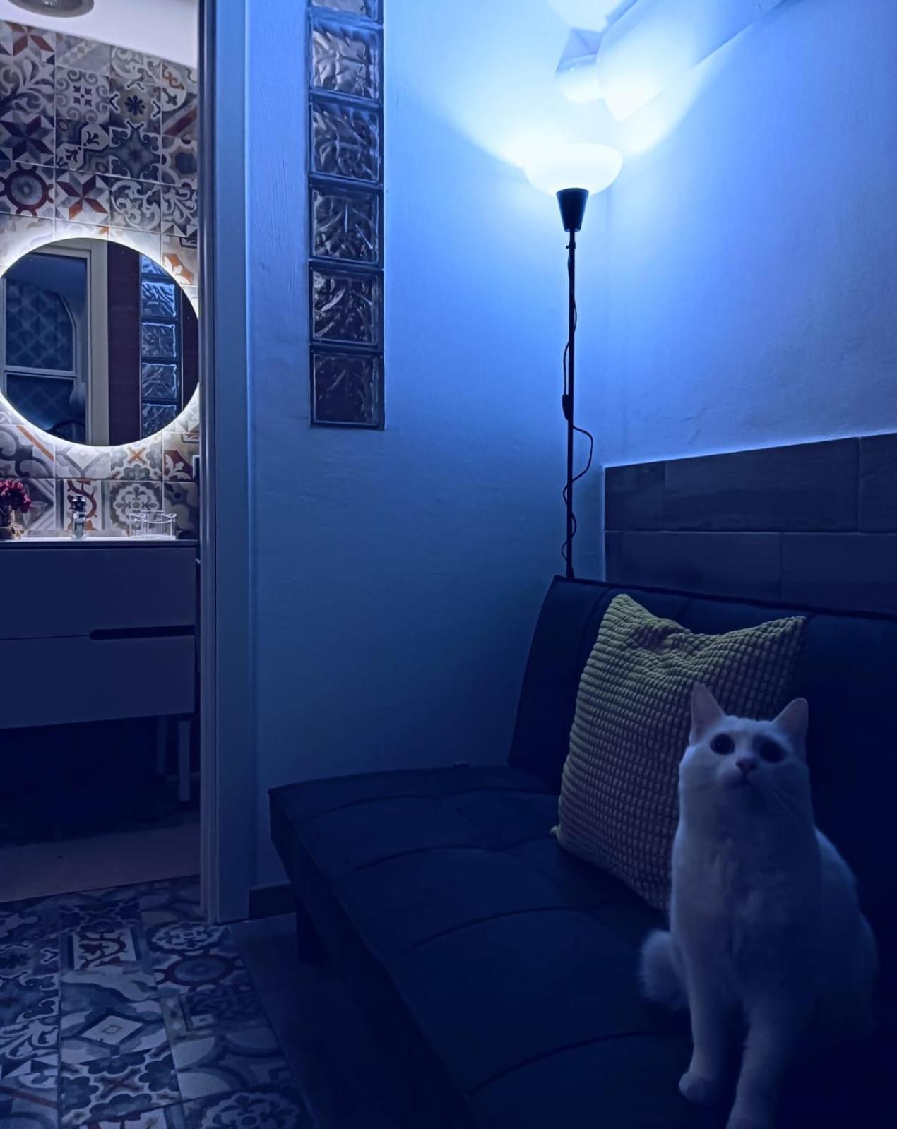 Villa The White Cat Neapel Exterior foto
